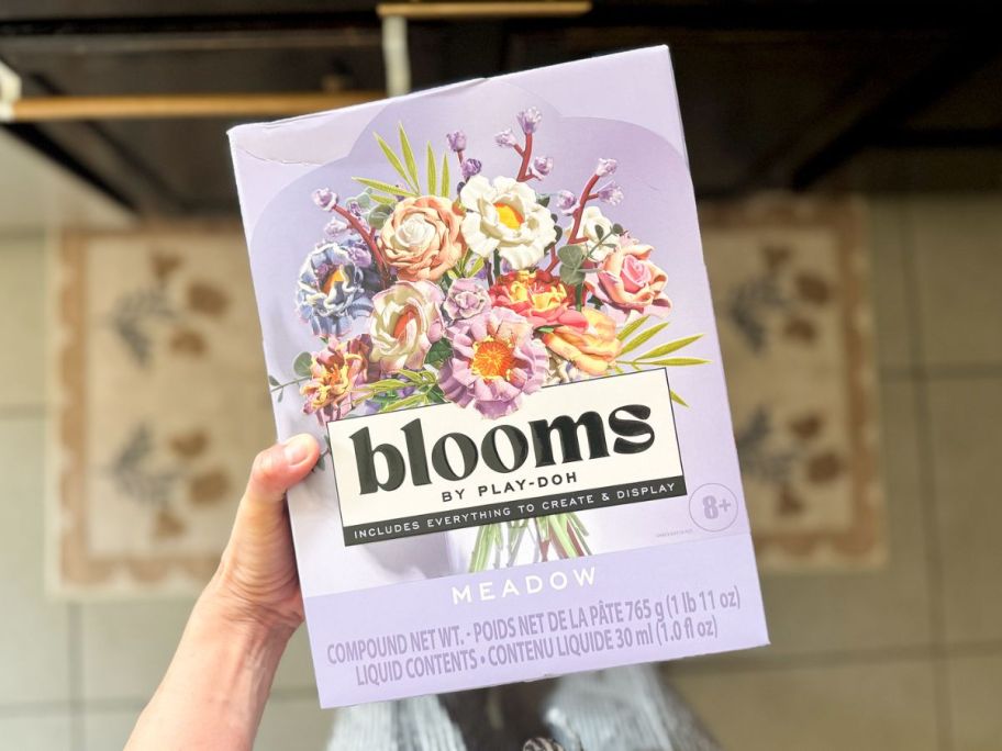 Playdoh bloom meadows