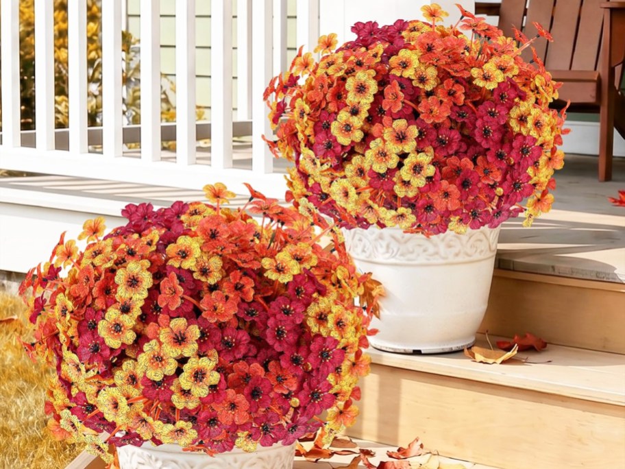 two pots of fall-colored flowers on front porch steps
