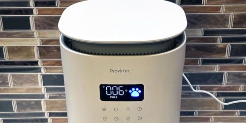 Pet Air Purifier w/ 2 Year Filter Kit Just $69.99 Shipped on Amazon | Captures Loose Pet Hair & Dander
