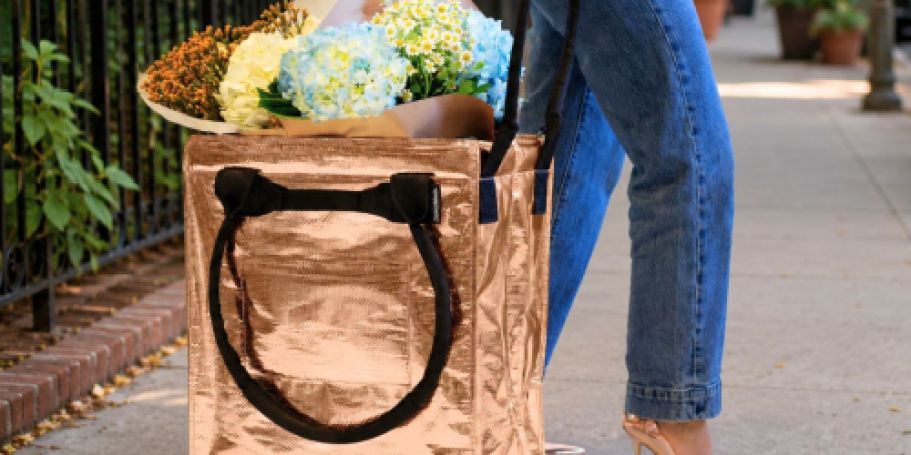 Why Pay Over $100 for a Hulken? Score This Walmart Rolling Tote for Just $24.98