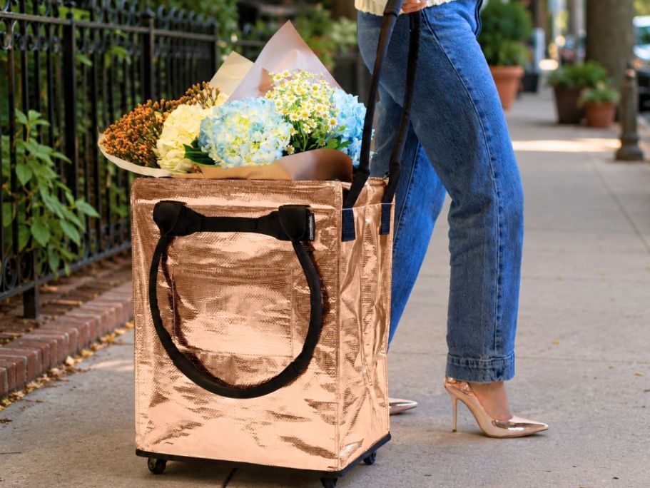 Why Pay Over $100 for a Hulken? Score This Walmart Rolling Tote for Just $24.98