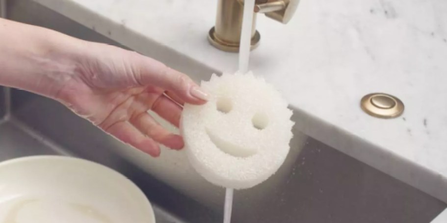 Scrub Daddy Sponge Only $2.51 Shipped on Amazon (Will Sell Out)
