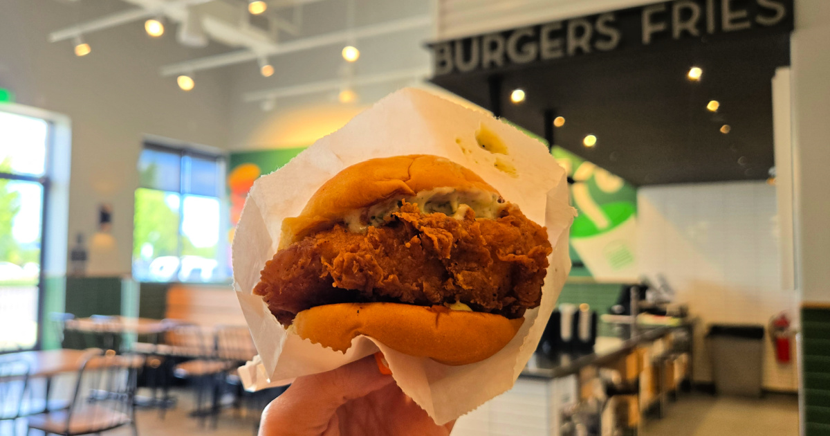 Handholding shake shack, chicken sandwich inside restaurant