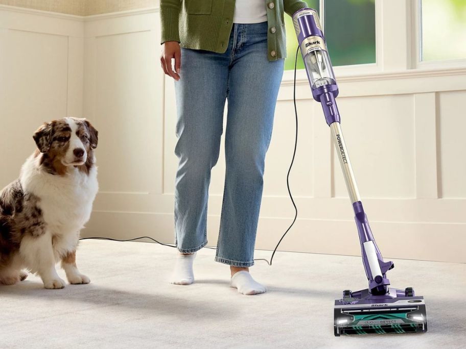person using Shark PowerDetect Ultra-Light Corded Stick Vacuum w/ Detect next to dog
