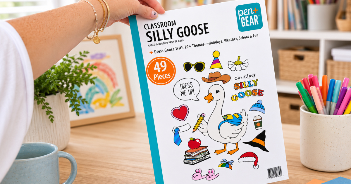 Silly Goose 49-Piece Classroom Decor Set Only $4.97 on Walmart.com