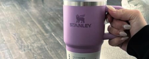 Hand holding purple stanley Tumbler