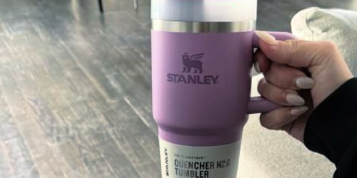 Hold On… Stanley 1913 Tumblers from ONLY $11?!