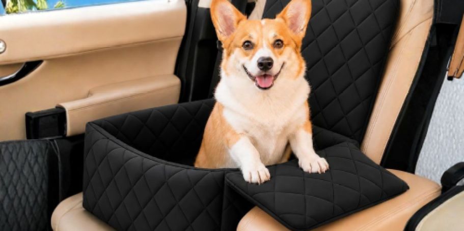 Dog Car Seat w/ Armrest Only $19.99 Shipped on Amazon (Reg. $60)