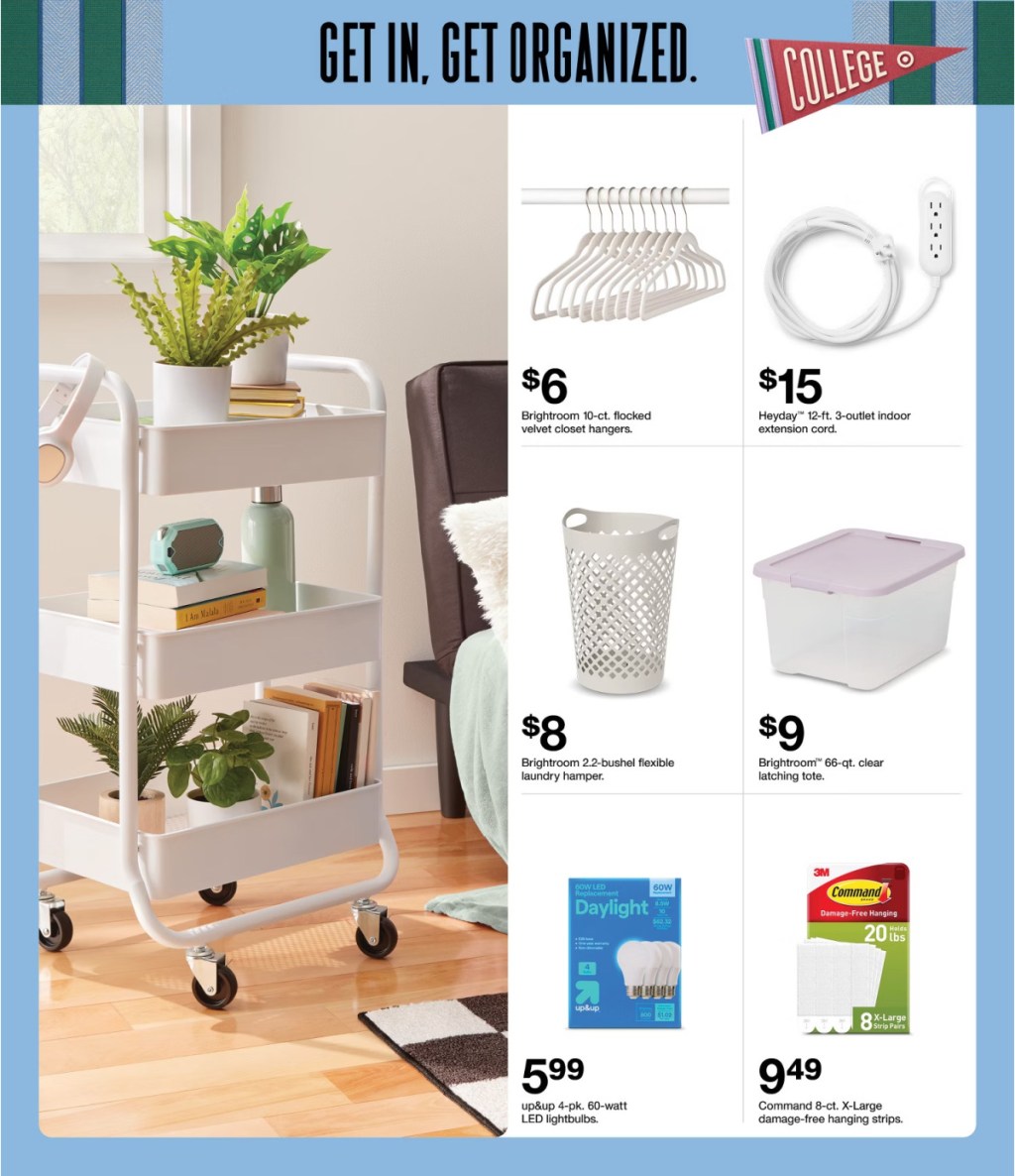page from Target ad