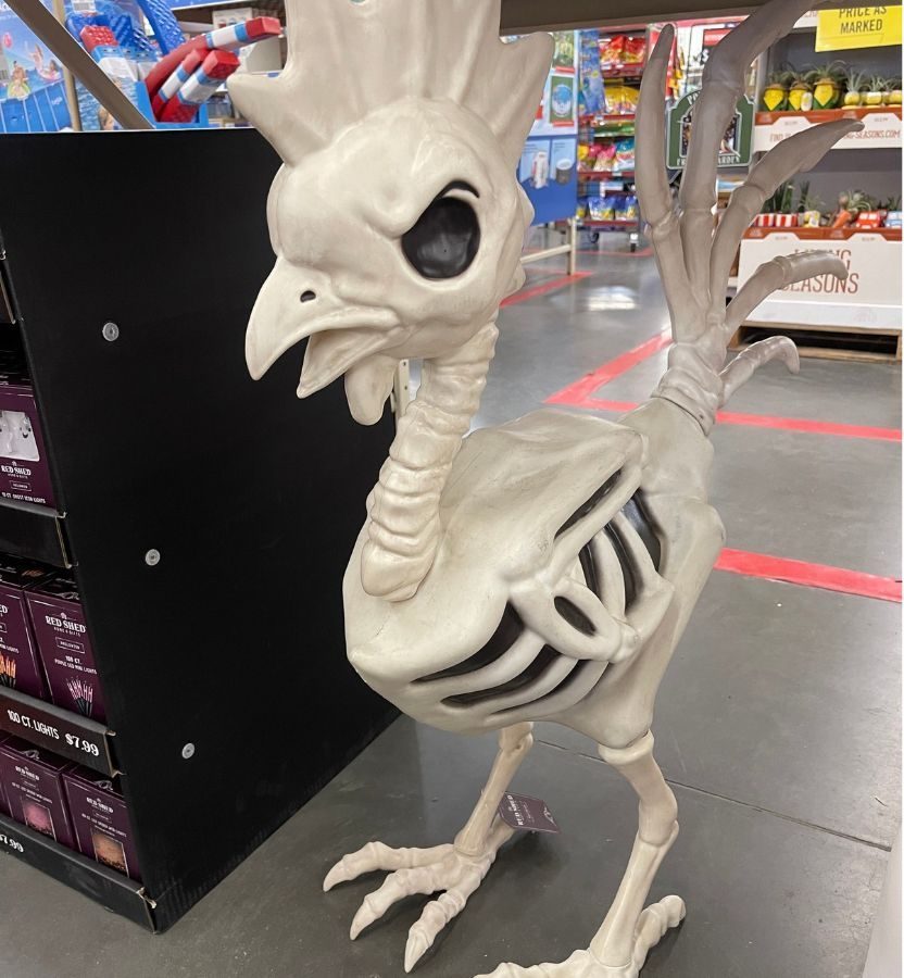 Rooster Skeleton Halloween Decoration at Tractor Supply