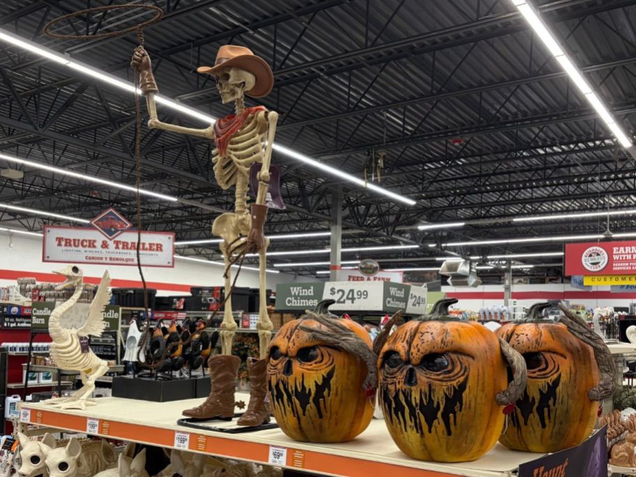 Animatronics at Tractor Supply