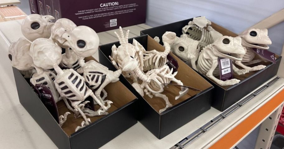 Baby Chick, Duckling and Frog Skeletons at Tractor Supply
