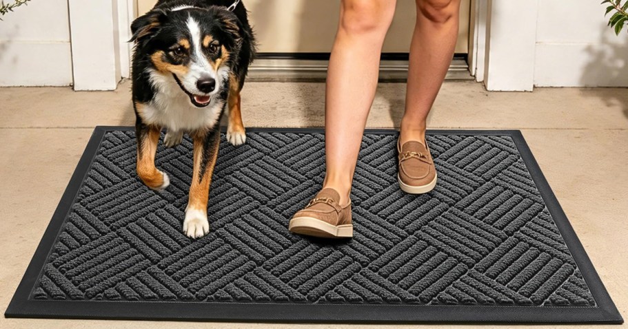 Waterproof Heavy Duty Door Mat Only $4.79 on Amazon