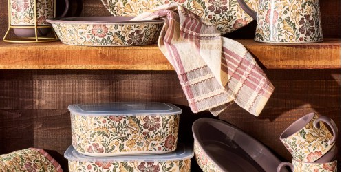 Walmart’s New Fall Kitchen Collection Looks Way More Expensive Than It Is!