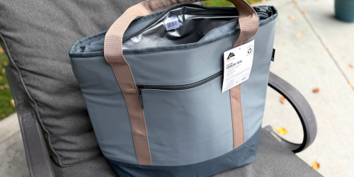 This $10 Walmart Cooler Tote Has YETI Vibes for $165 Less