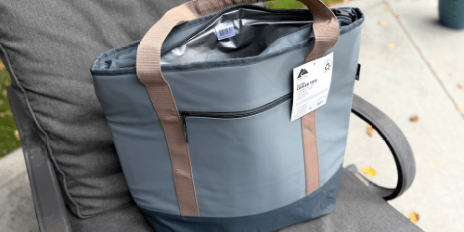 Our Favorite $10 Walmart Cooler Tote Has YETI Vibes for $165 Less!