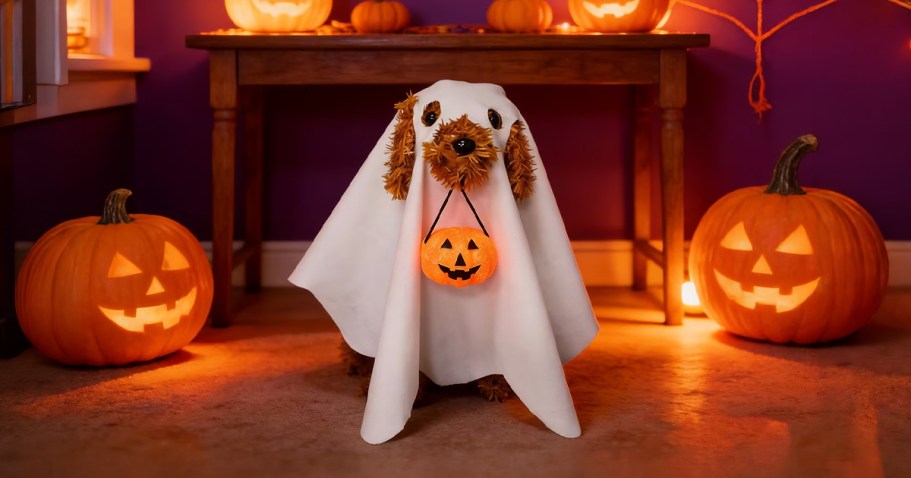 Could These NEW Walmart Halloween Decorations Be Any Cuter?!