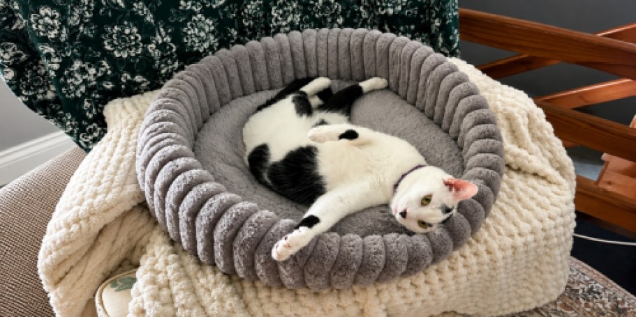 Your Cat’s New Favorite Nap Spot Is Just $13.99 on Amazon