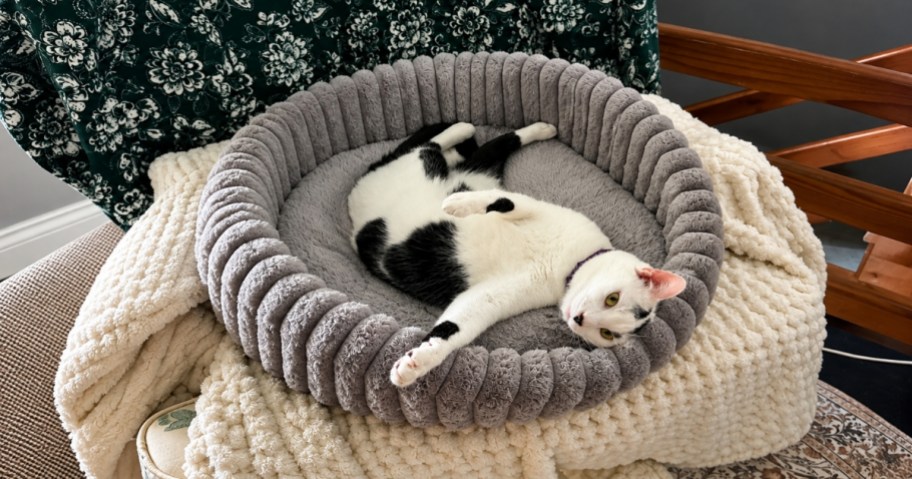 a cat laying comfortably in a grey pet bed