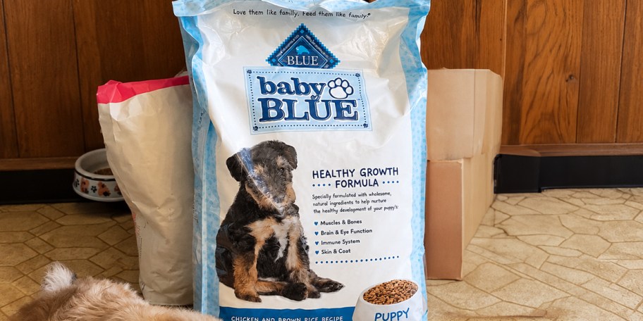 baby blue dog food bag on floor 