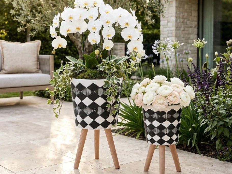 black and white planters on wood stands with white flowers outdoors 