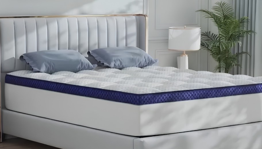 bedlite queen mattress topper