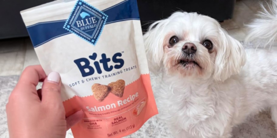 Blue Buffalo Dog Treats Only $1.99 Shipped on Amazon (Reg. $7)