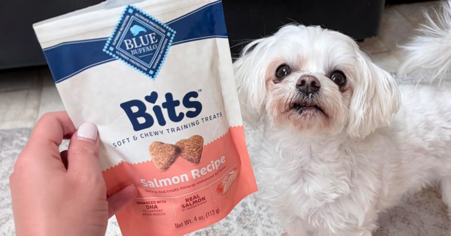 Blue Buffalo Dog Treats Only $1.99 Shipped on Amazon (Reg. $7)