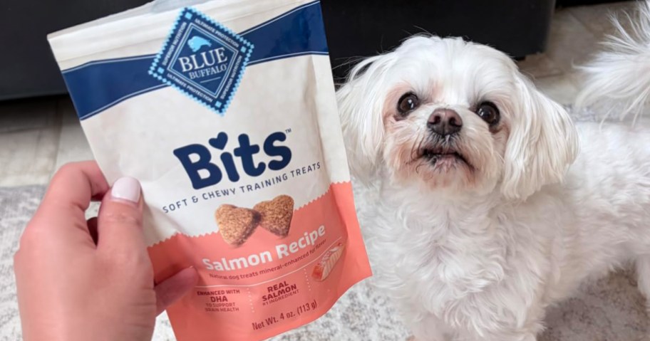 white dog standing by person holding blue buffalo bits treats