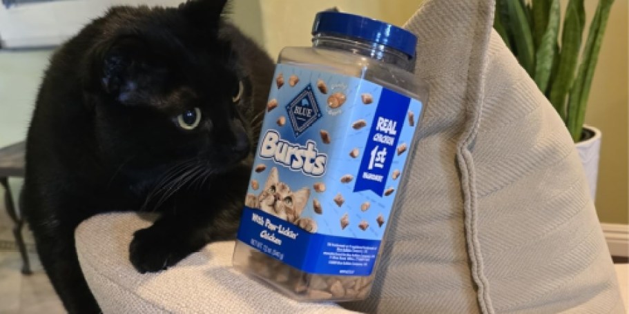 Blue Buffalo Cat Treats Just $4 Shipped on Amazon (Reg. $12)