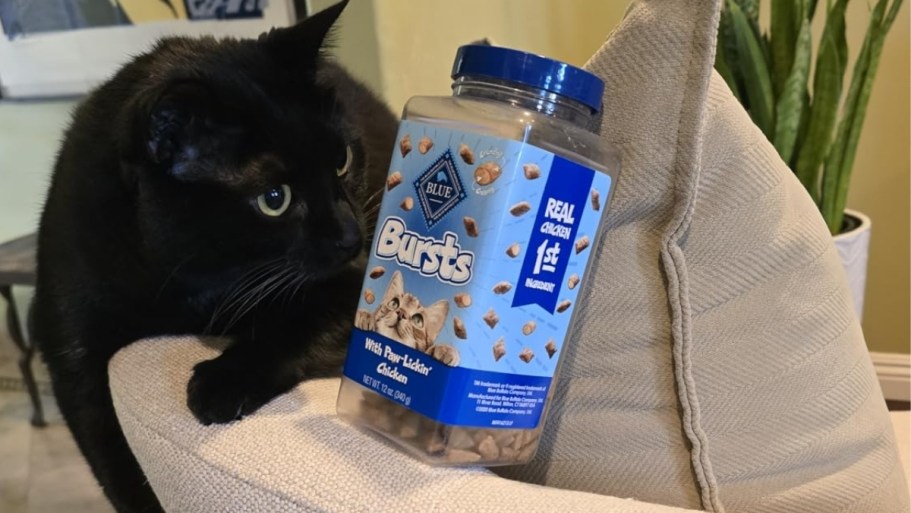 Blue Buffalo Cat Treats Just $4 Shipped on Amazon (Reg. $12)