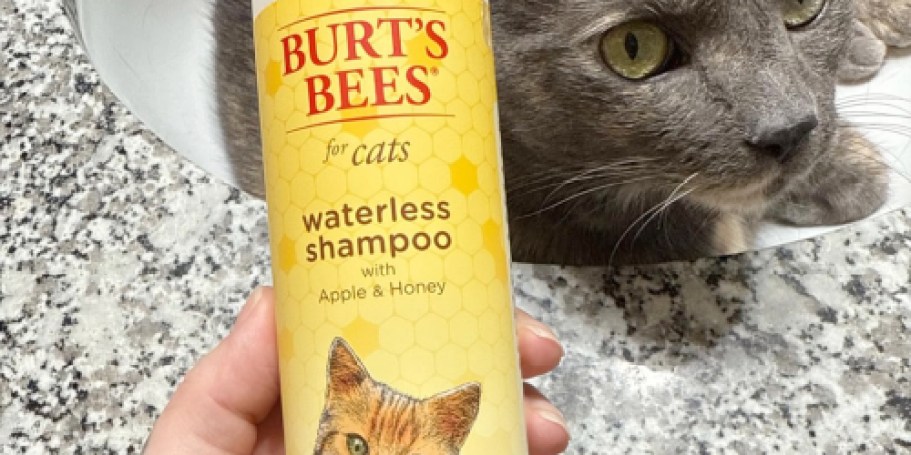 Burt’s Bees Cats Waterless Shampoo Only $3.57 Shipped on Amazon (Reg. $10)