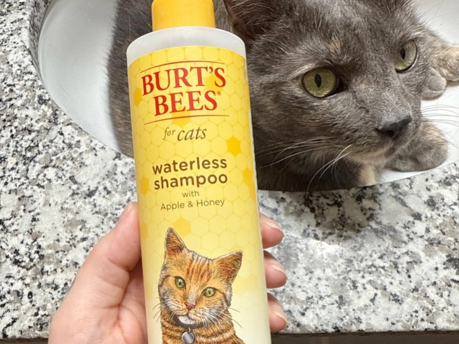 hand holding burts bees waterless shampoo