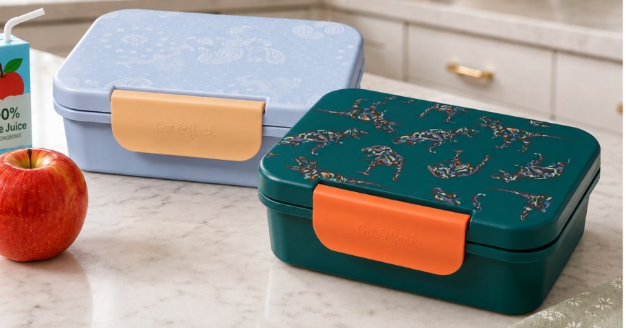 Target’s Cat & Jack Bento Boxes Start at Just $2.40 and Are Great for School Lunches