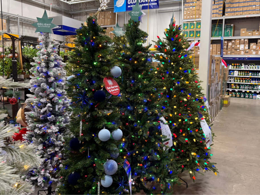 christmas trees at lowes