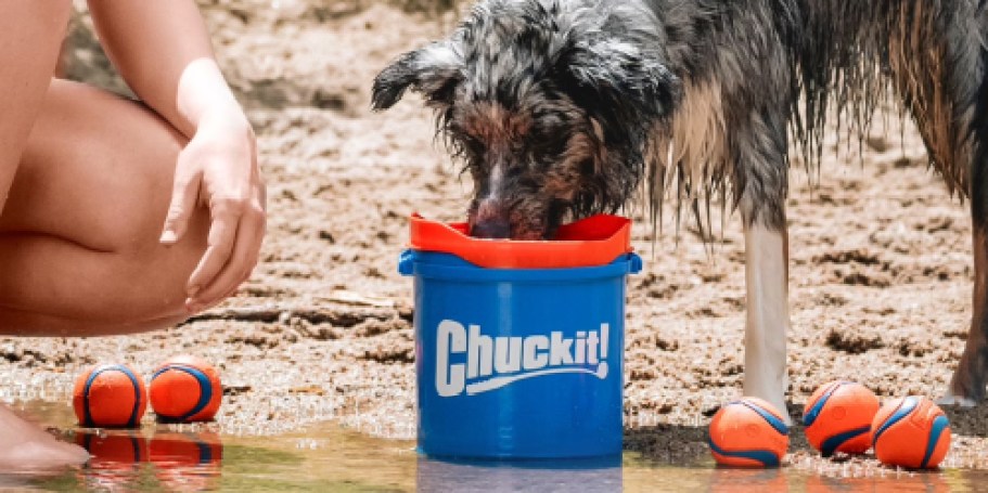 Up to 85% Off Chuckit! Dog Toys on Walmart.com