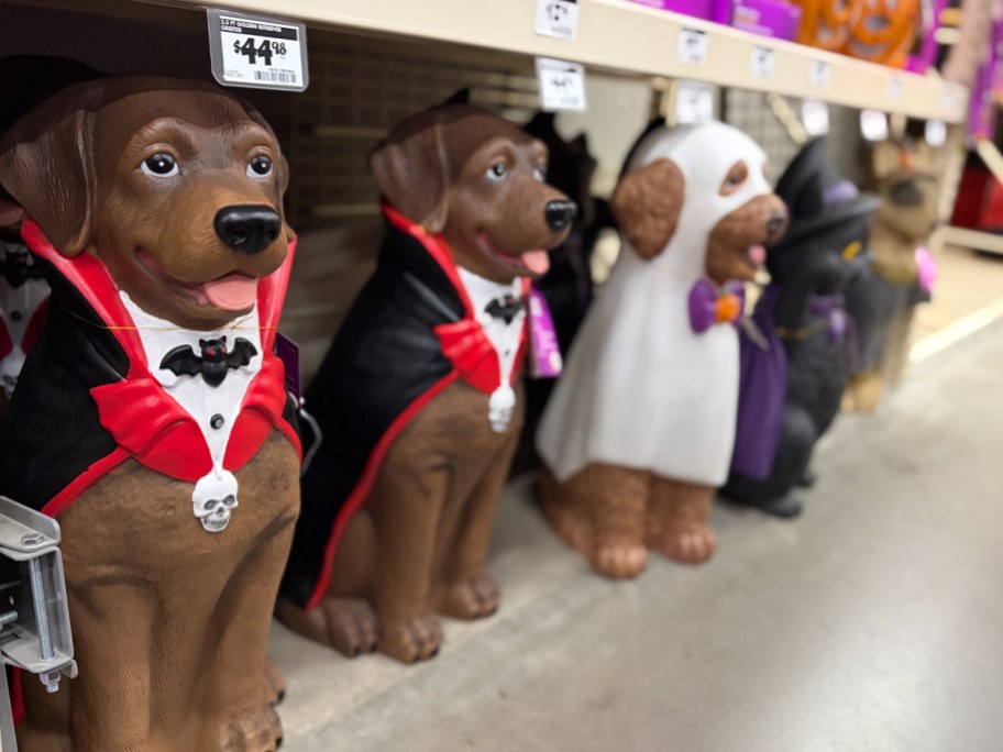 vampire, and ghost dog greeters