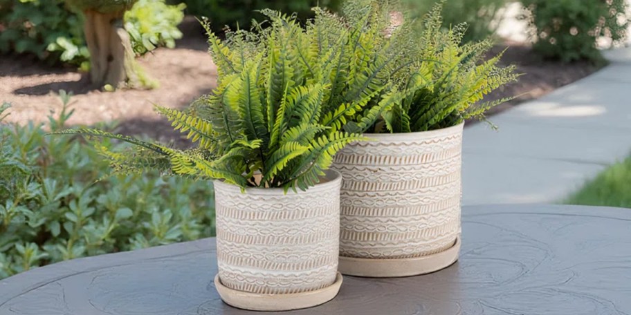 white planters on table outdoors