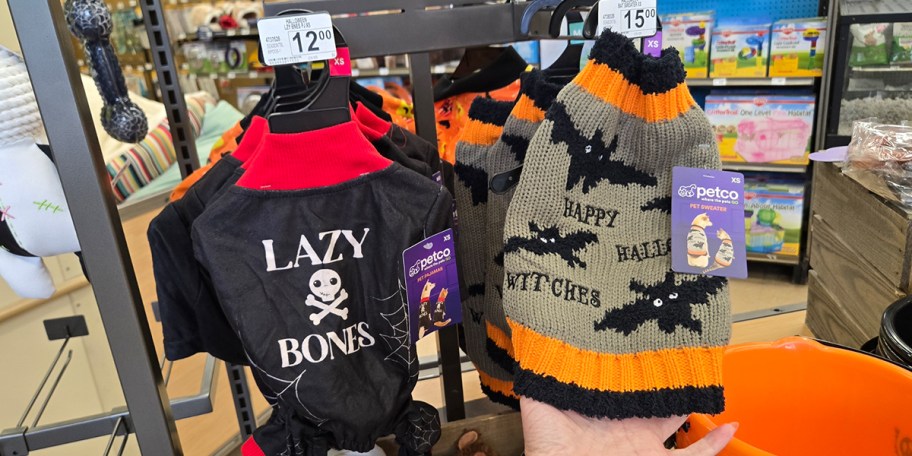 lazy bones, and bats dog sweaters 