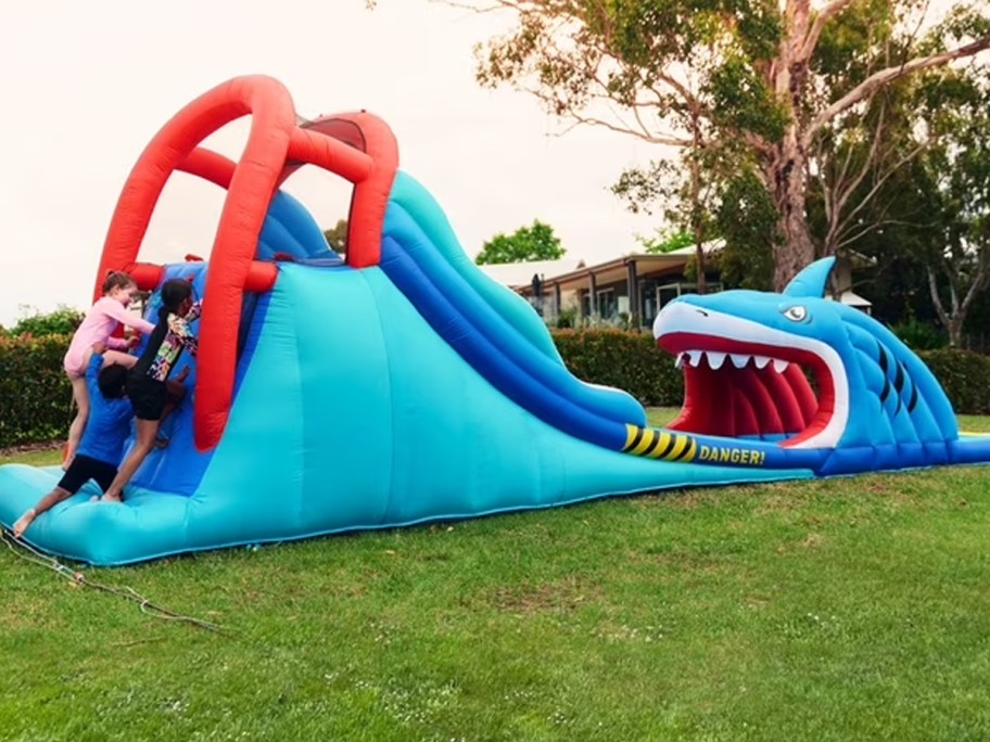 kids on shark waterslide 