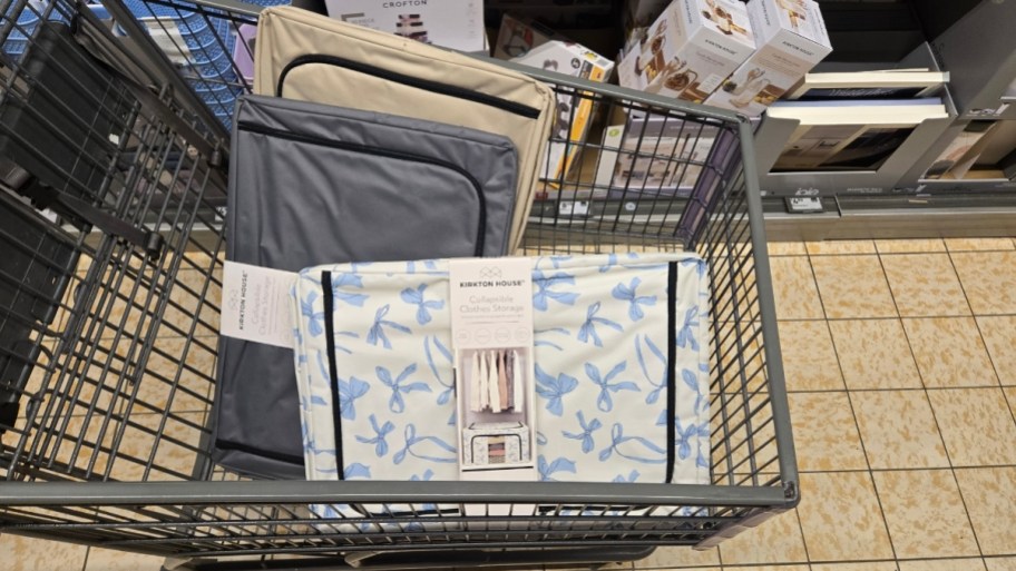 3 clothing storage boxes in different prints and colors at aldi