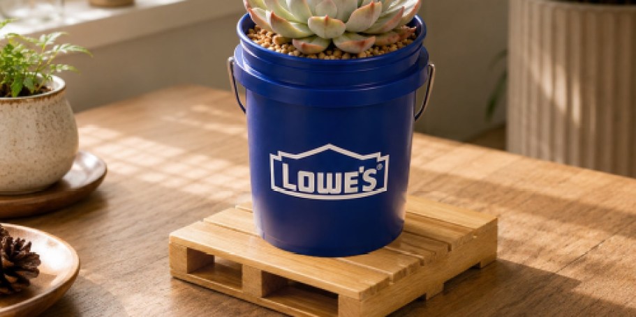 Lowe’s Just Dropped Mini Wooden Pallets to Match the Mini Buckets (May Sell Out!)