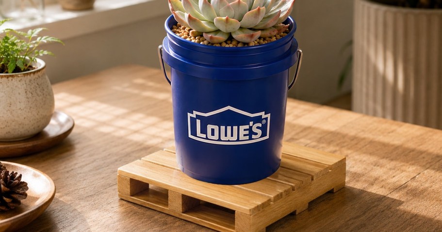 Lowe’s Mini Pallet Coasters 4-Pack Just $6.98 for Rewards Members