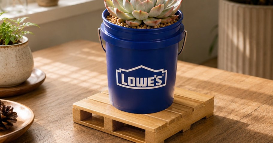 A small blue Lowe's bucket holding a succulent plant, resting on a miniature wooden pallet coaster on a table.