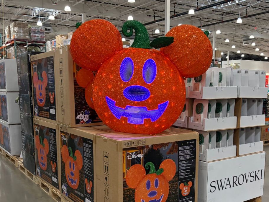 masssive pumpkin displayed at the store 