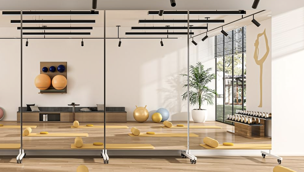 gym mirrors on wheels 