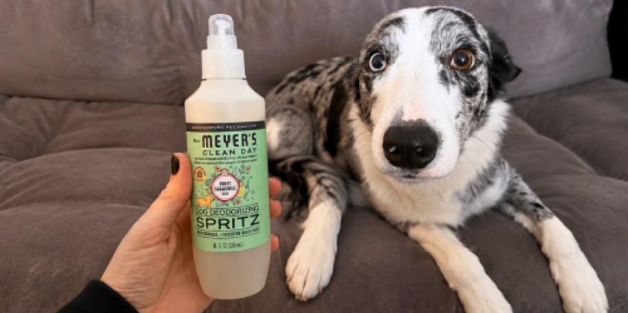 Mrs. Meyer’s Clean Day Dog Deodorizing Spray Just $3.66 Shipped on Amazon (Reg. $8)