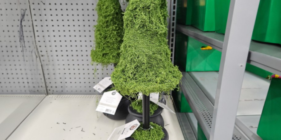 NEW My Texas House Witches Hat Topiaries Have Landed at Walmart & Will Likely Sell Out