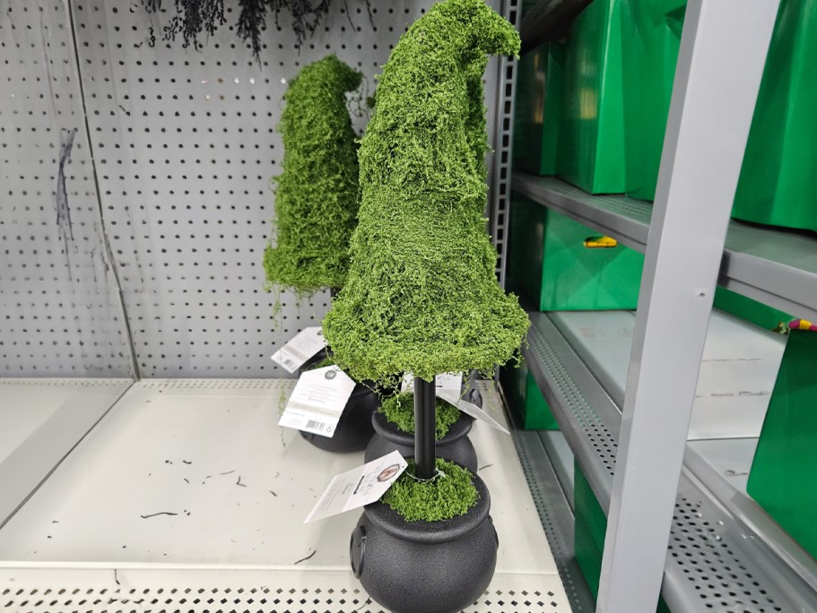 NEW My Texas House Witches Hat Topiaries Have Landed at Walmart & Will Likely Sell Out