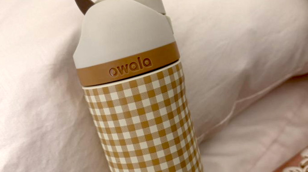 Target’s New Fall Owala Collection Is Here | Gingham Bottles, Puffer Totes & More